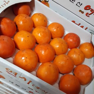 오색땅콩님의 작성글 사진