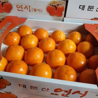 오색땅콩님의 작성글 사진