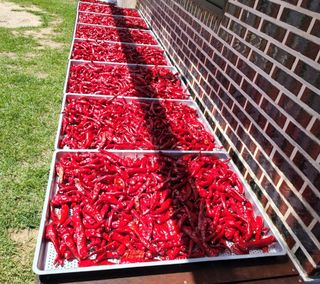 평창산들농장님의 작성글 사진