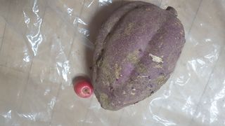 류 현주님의 고구마 · 자유게시판 작성글 사진