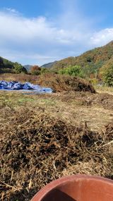 팜모닝 · 게시글 이미지