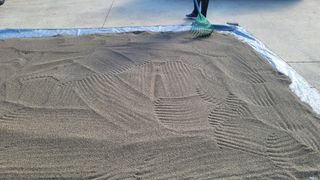 쪼짜님의 작성글 사진