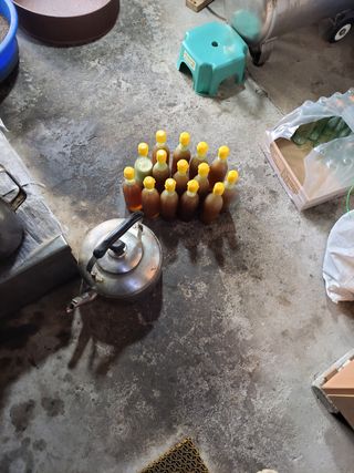 김학원님의 블루베리 · 자유게시판 작성글 사진