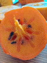 팜모닝 감·병해충상담 게시글 이미지