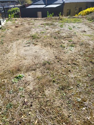 짱순이연속8월출석왕님의 기타작물 · 자유게시판 작성글 사진