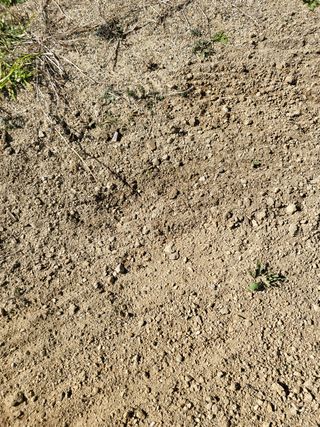 짱순이연속8월출석왕님의 기타작물 · 자유게시판 작성글 사진