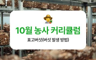 버섯 농사도우미님의 버섯 · 품종•종자 작성글 사진