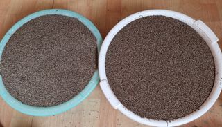 밝은숲님의 참깨 · 자유게시판 작성글 사진