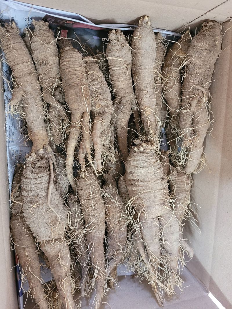 장터 상품 [더덕 대 )1키로 45000] 썸네일