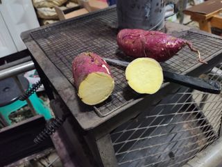 낙엽교목류4351님의 고구마 · 병해충상담 작성글 사진