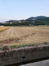 팜모닝 벼·자유게시판 게시글 이미지