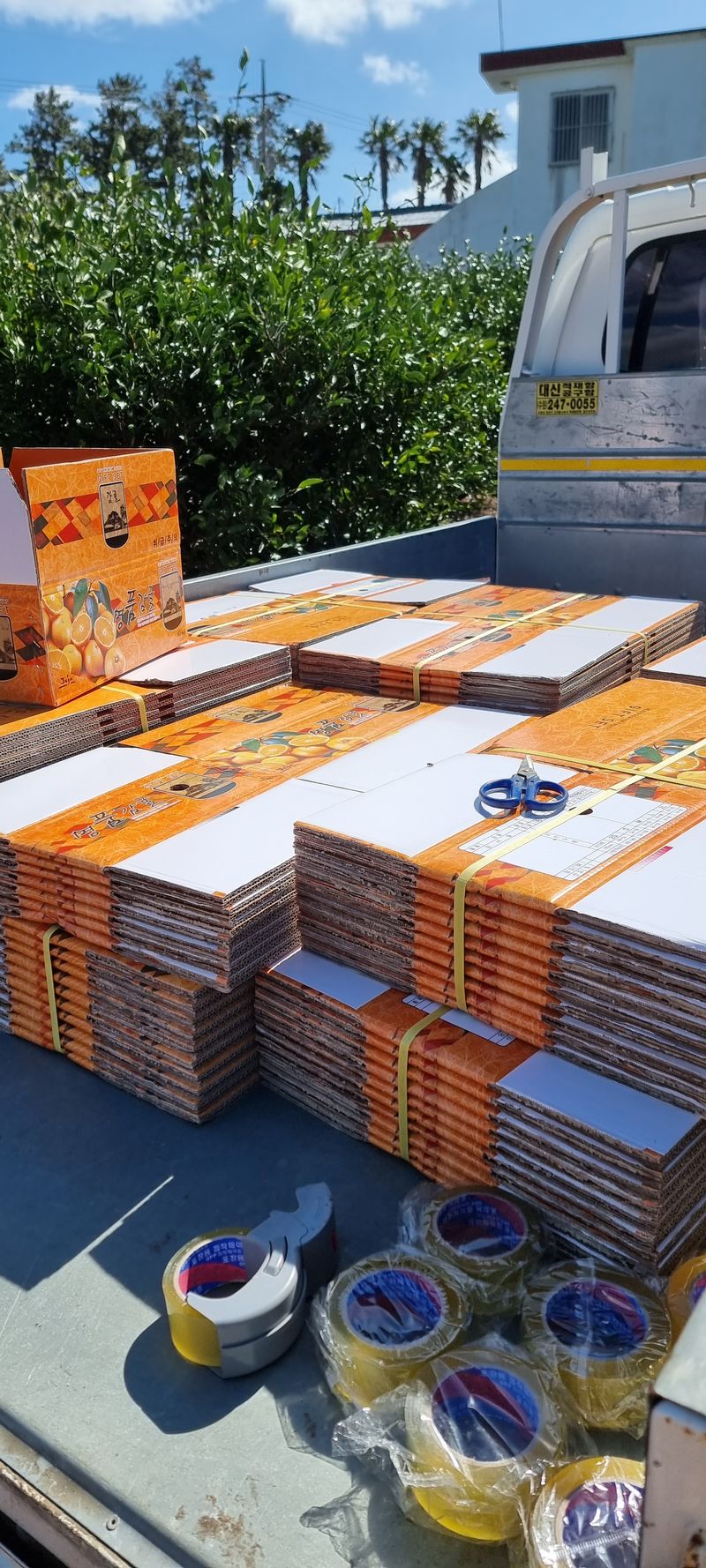 박기중님의 장터 판매 상품 [귤 2만원 https://docs.google.com/forms/d/e/1FAIpQLScasr49f7aJbs] 첨부 사진