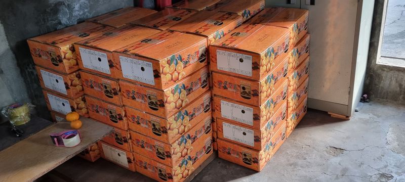 박기중님의 장터 판매 상품 [귤 2만원 https://docs.google.com/forms/d/e/1FAIpQLScasr49f7aJbs] 첨부 사진