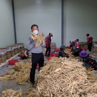 모두팜님의 기타작물 · 자유게시판 작성글 사진