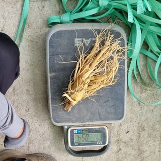 모두팜님의 기타작물 · 자유게시판 작성글 사진