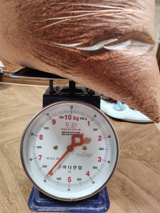 거제달다무화과님의 작성글 사진