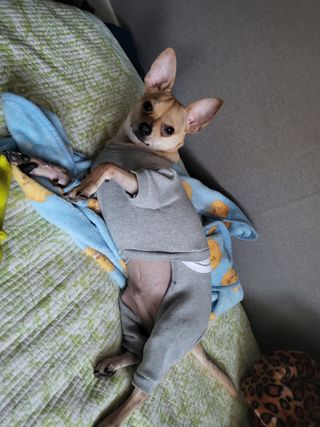 백병기 님의 토마토 · 일상 작성글 사진