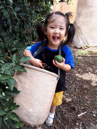 새달귤농장님의 귤 · 일상 작성글 사진