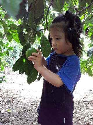 새달귤농장님의 귤 · 일상 작성글 사진