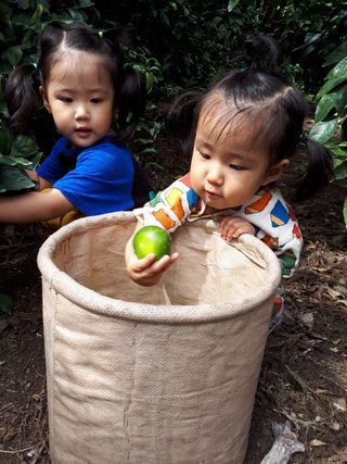 새달귤농장님의 귤 · 일상 작성글 사진