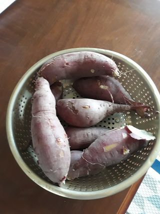 신재희님의 고구마 · 자유게시판 작성글 사진