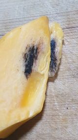 팜모닝 감·병해충상담 게시글 이미지