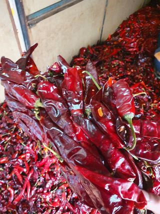 입암농사님의 기타작물 · 병해충상담 작성글 사진