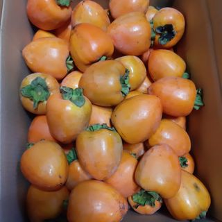 두딸맘님의 작성글 사진