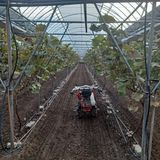 팜모닝 복숭아·자유게시판 게시글 이미지