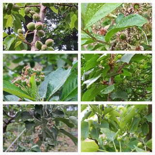 인생은 소풍처럼님의 배 · 일상 작성글 사진