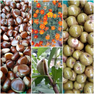 인생은 소풍처럼님의 배 · 일상 작성글 사진