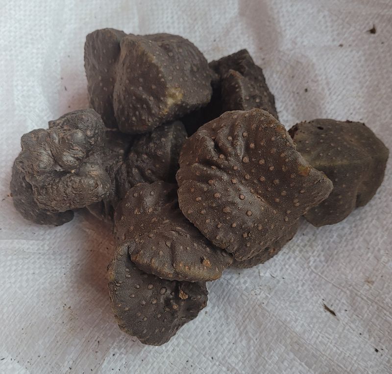 장터 상품 [하늘마 1키로에 10000이고요 2키로이상 태배 주문 받아요  10키로 남았어요] 썸네일