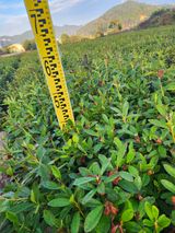 팜모닝 감·자유게시판 게시글 이미지