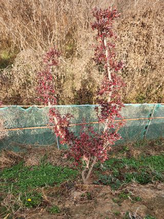 허정양님의 감 · 자유게시판 작성글 사진