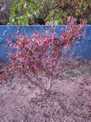 허정양님의 감 · 자유게시판 작성글 사진