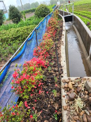 허정양님의 감 · 자유게시판 작성글 사진