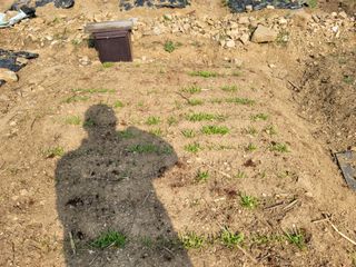 신승재님의 배추 · 일상 작성글 사진