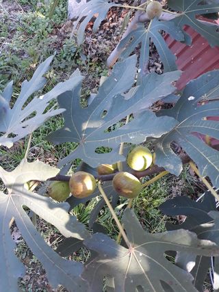 신재희님의 기타작물 · 자유게시판 작성글 사진