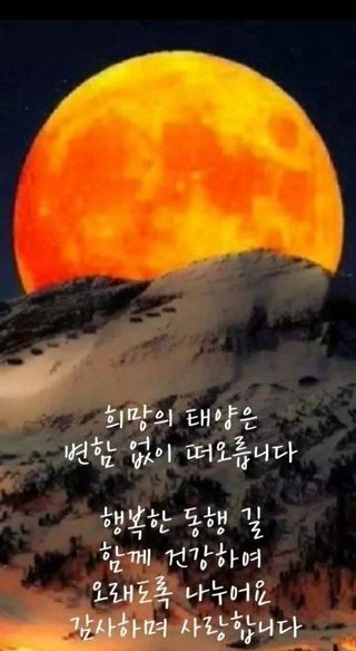 박훈영님의 상추 · 자유게시판 작성글 사진
