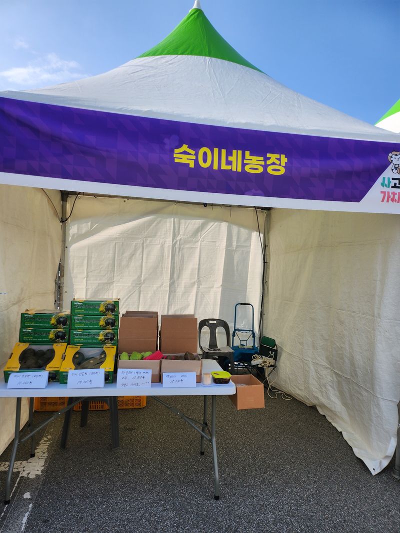 숙이네농장 님의 장터 판매 상품 [차요태 (멕시코 야채) 3k.  20.000원] 첨부 사진