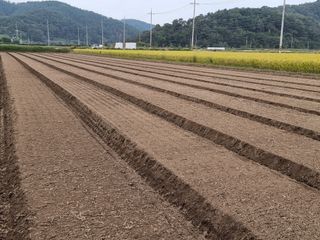 박민규님의 마늘 · 일상 작성글 사진