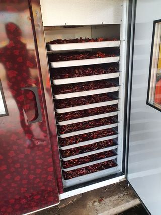 알 수 없음님의 고추 · 일상 작성글 사진