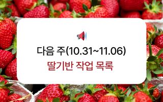 딸기 농사도우미님의 딸기 · 온도 관리 작성글 사진