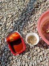 팜모닝 양파·자유게시판 게시글 이미지