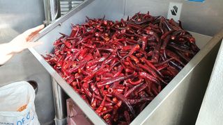 이춘기님의 고추 · 일상 작성글 사진