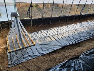 김권수님의 들깨 · 자유게시판 작성글 사진