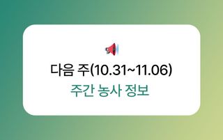 감 농사도우미님의 감 · 농사길잡이 작성글 사진