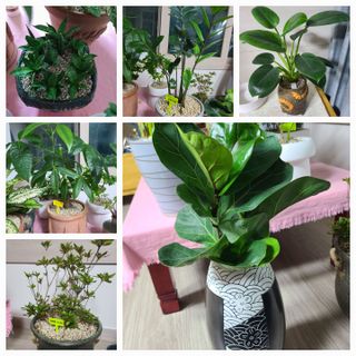 새달귤농장님의 딸기 · 일상 작성글 사진