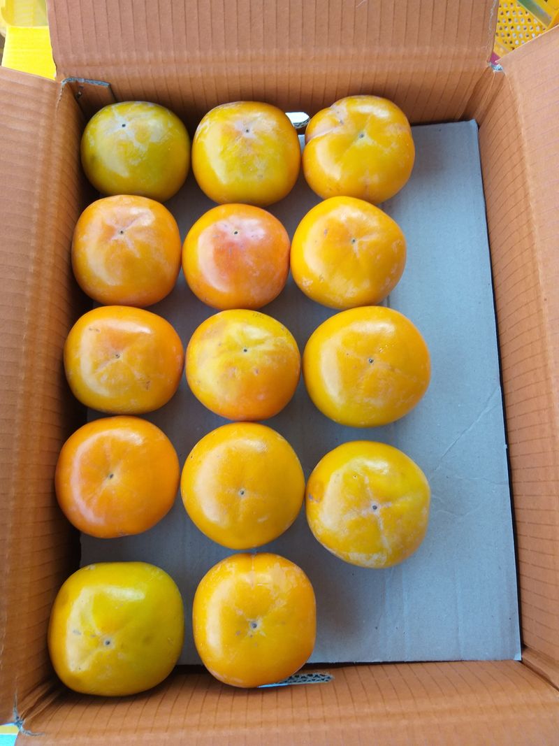 이윤기님의 장터 판매 상품 [단감 떨이(한정4박스)  / 마감 함 20000] 첨부 사진