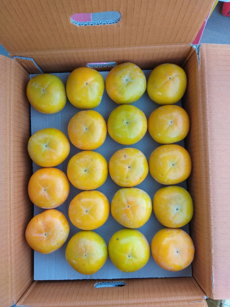 장터 상품 [단감 떨이(한정4박스)  / 마감 함 20000] 썸네일